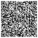 QR code with Boillat Wayne R DVM contacts