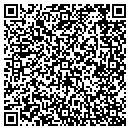 QR code with Carpet One Cleaning contacts