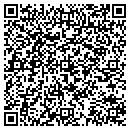 QR code with Puppy Au Pair contacts