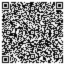 QR code with Pro Paint Performance contacts