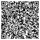 QR code with Pro Computers contacts