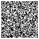 QR code with Pulse Recording contacts