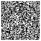 QR code with Professional Constructors contacts