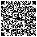 QR code with Conceptual Designs contacts