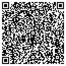 QR code with Carpet Busters Inc contacts