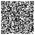 QR code with Paws contacts