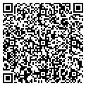 QR code with Paws 4 A Walk contacts