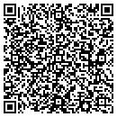 QR code with Pro Tek Systems Inc contacts