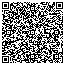 QR code with Pumps & Works contacts
