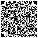QR code with Costlow David L DVM contacts