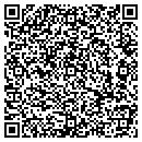 QR code with Cebulski Construction contacts