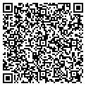 QR code with Allied contacts