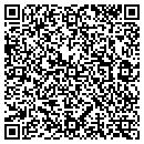 QR code with Programmer Computer contacts