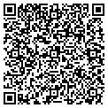 QR code with Stg Incd contacts