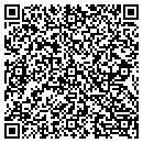 QR code with Precision Pothole Plus contacts