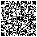 QR code with Cousins Susan M DVM contacts