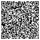 QR code with Cronin T DVM contacts