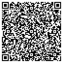QR code with Professional Pc contacts