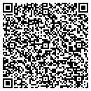 QR code with Premier Service Bank contacts
