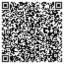 QR code with Premium Comp Systems contacts
