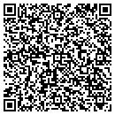 QR code with Castle Rock Computer contacts
