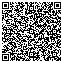 QR code with Protek Auto Works contacts