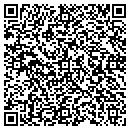 QR code with Cgt Construction Inc contacts
