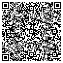 QR code with Carpet Guyz Inc contacts