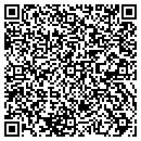 QR code with Professional Computer contacts