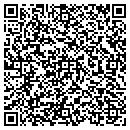 QR code with Blue Line Remodeling contacts