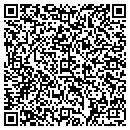 QR code with PSTuners contacts