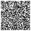 QR code with Pyrrhus Software contacts