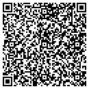 QR code with Pyramid Restoration Inc contacts