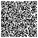 QR code with Cybergnostic Net contacts