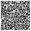 QR code with Cobra Technologies contacts