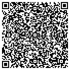 QR code with Public Address Systems contacts
