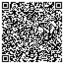 QR code with A N E Services LLC contacts