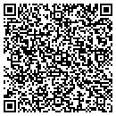 QR code with Professional Carpet contacts