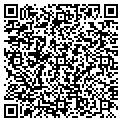 QR code with Doggie Basics contacts