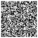 QR code with Pulse Technologies contacts
