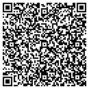 QR code with Precious Stoneworks contacts