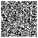 QR code with Pro Fleet Refinishing contacts