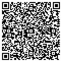 QR code with Fewcha contacts