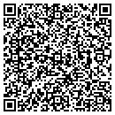 QR code with Carpet Genie contacts