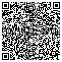 QR code with Modis contacts