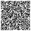 QR code with Custom Pet Solutions contacts