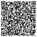 QR code with V-Tec contacts