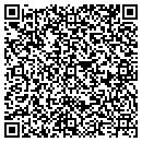 QR code with Color Vision Painting contacts