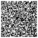 QR code with Process Software contacts