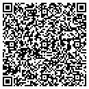 QR code with Borg Fencing contacts